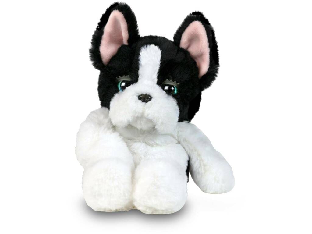 TUCKER CÃO DORMINHOCO - Image 2
