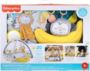 FISHER PRICE SNUGAMACACO NO GINASIO